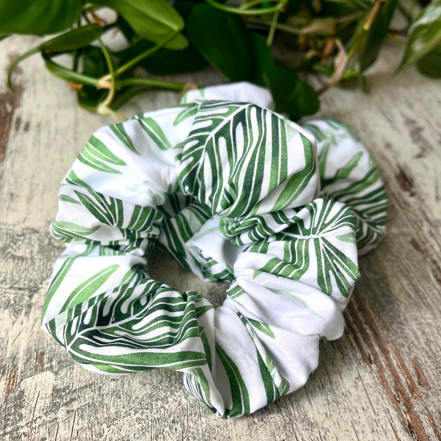 Scrunchie - Philodendron Radiatum