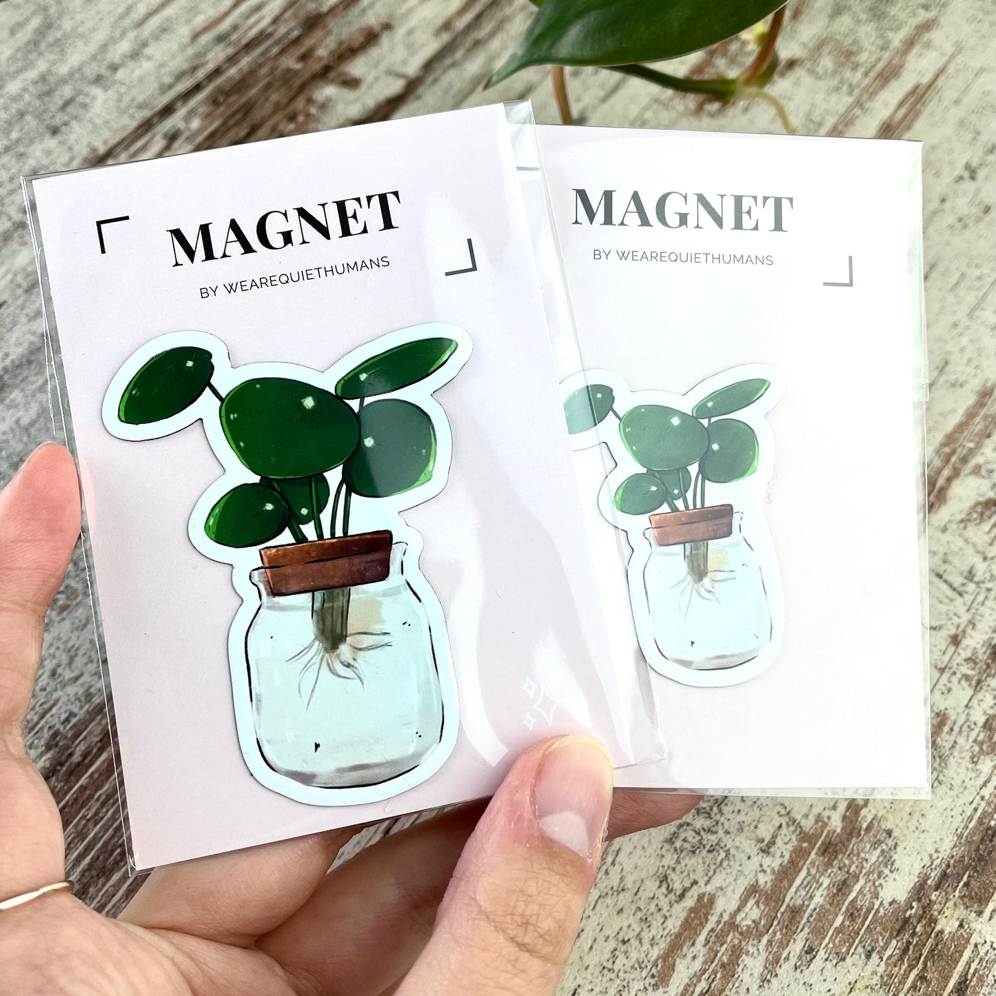 Magnet - Pilea Ableger im Glas - wearequiethumans