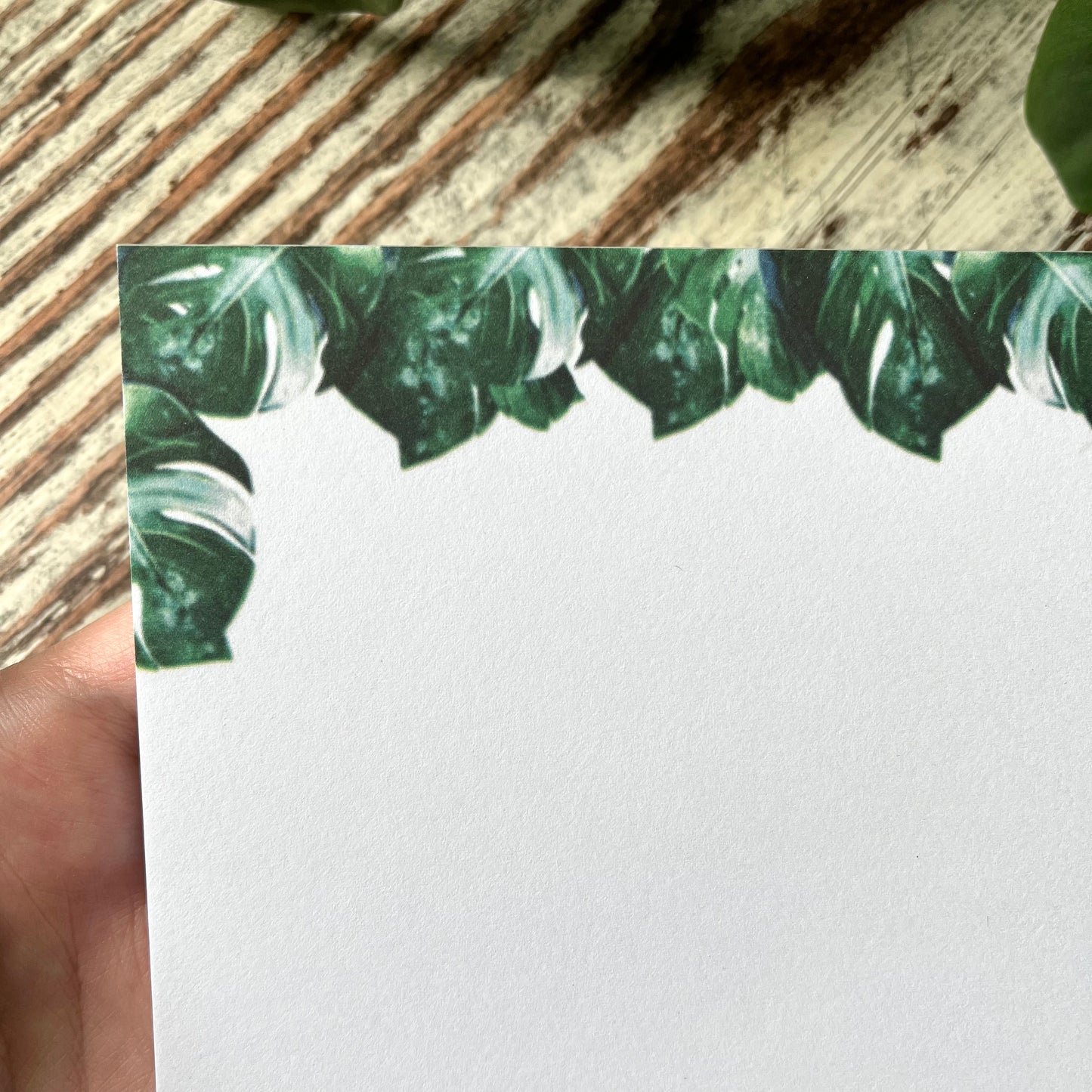 B-Ware: Notizblock A5 Monstera variegata blanko - wearequiethumans