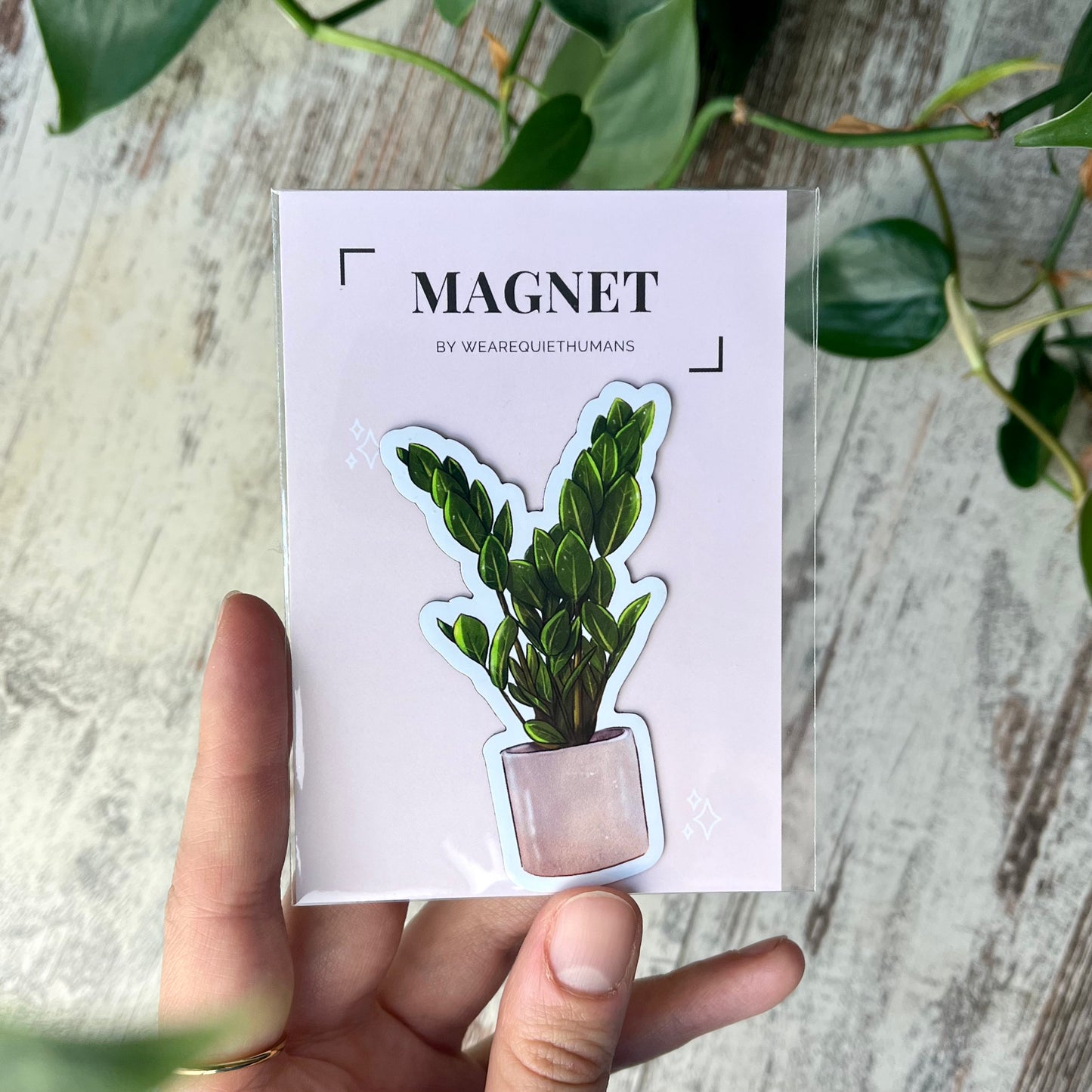 Kühlschrankmagnet - Zamioculcas zamiifolia - Glücksfeder