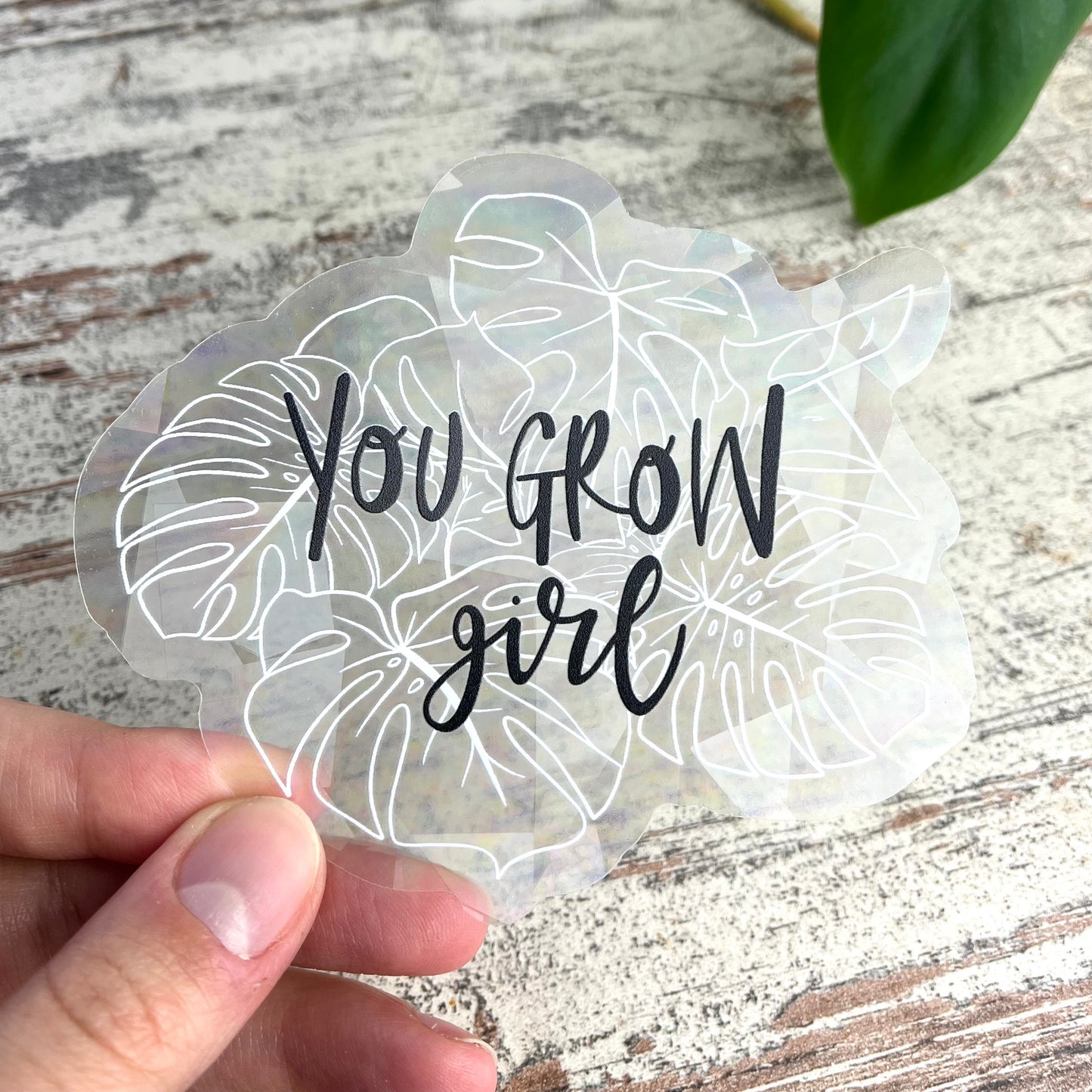 Sun Catcher Sticker - You grow girl Monstera - wearequiethumans