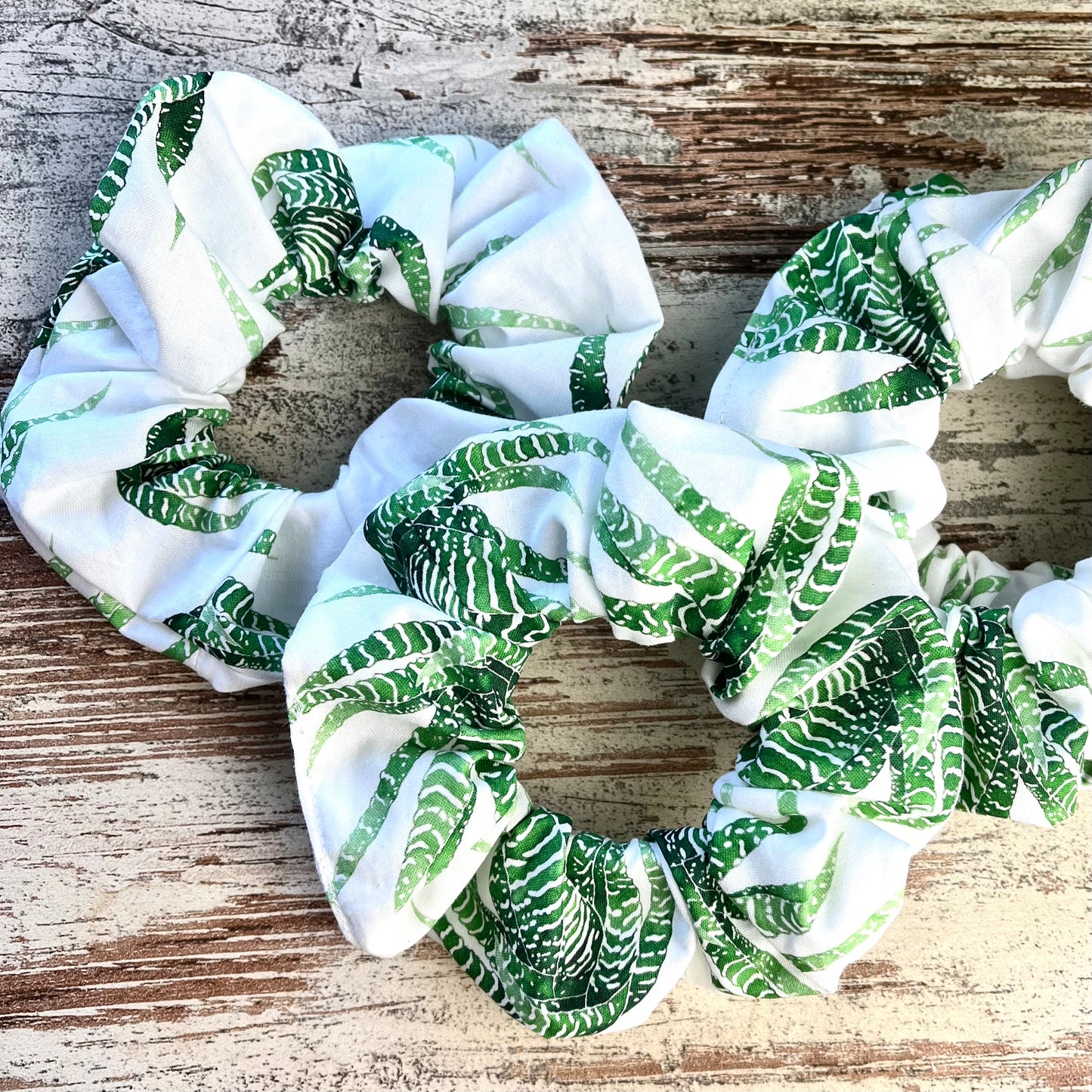 Scrunchie - Haworthia - wearequiethumans