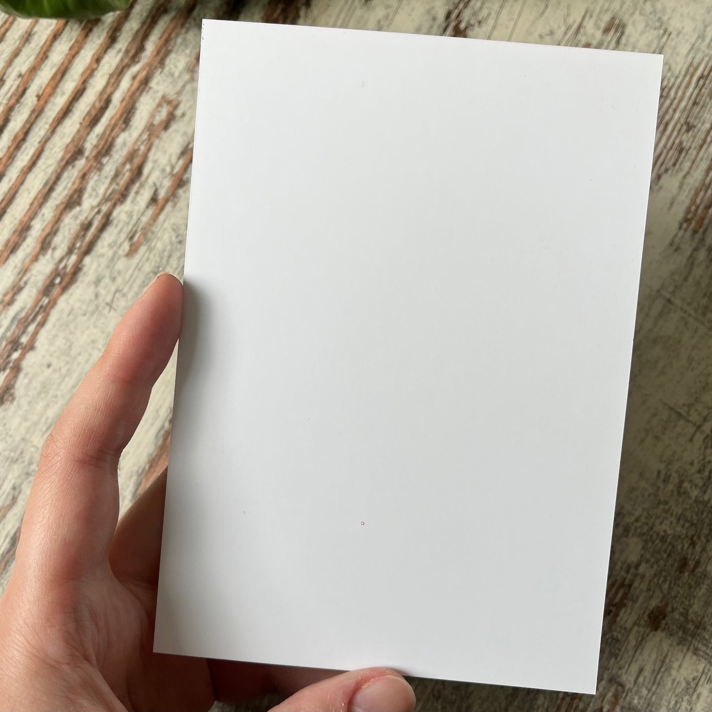 B-Ware: Postkarte / A6 Print - Monstera deliciosa Für Dich - wearequiethumans