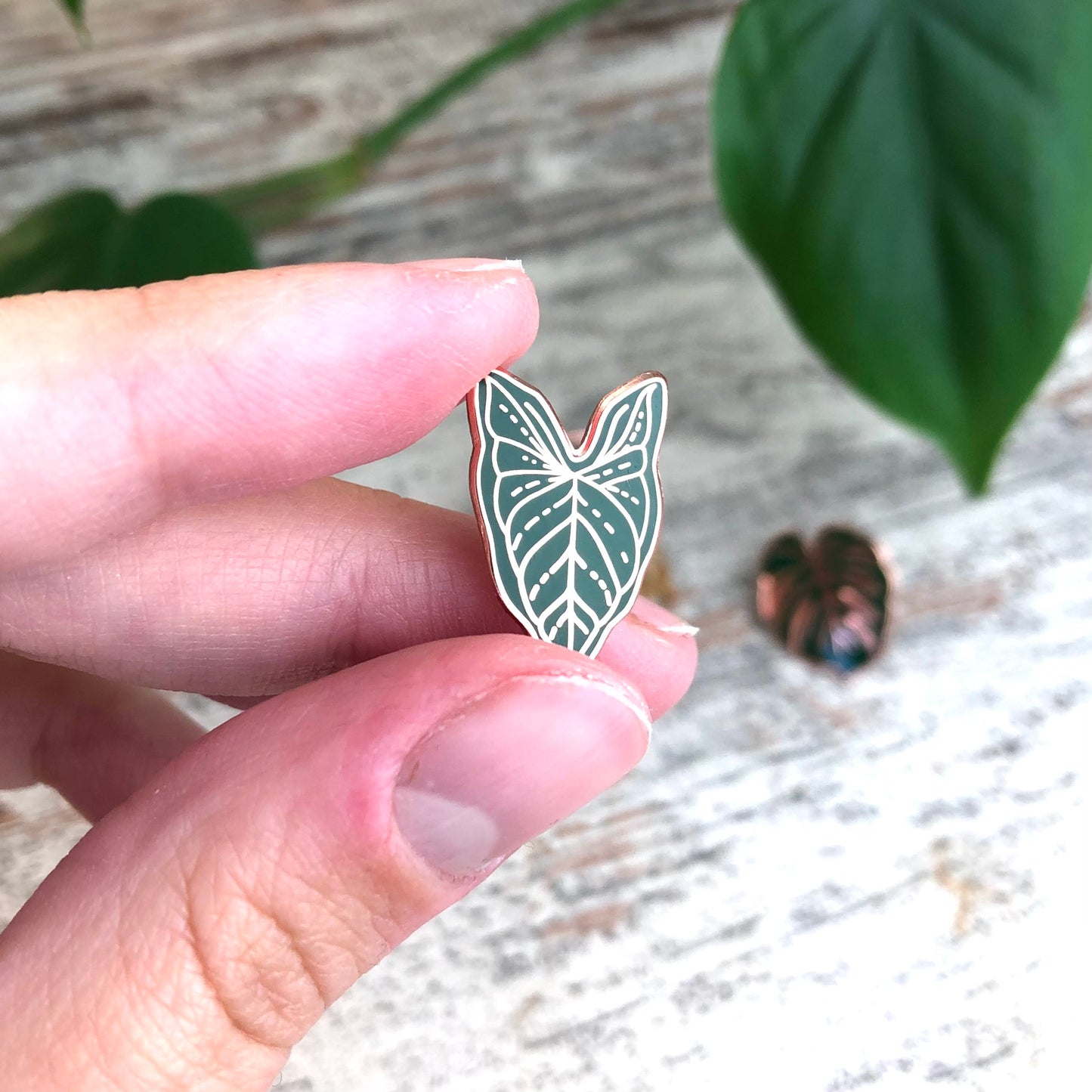Pin - Syngonium Blatt - wearequiethumans