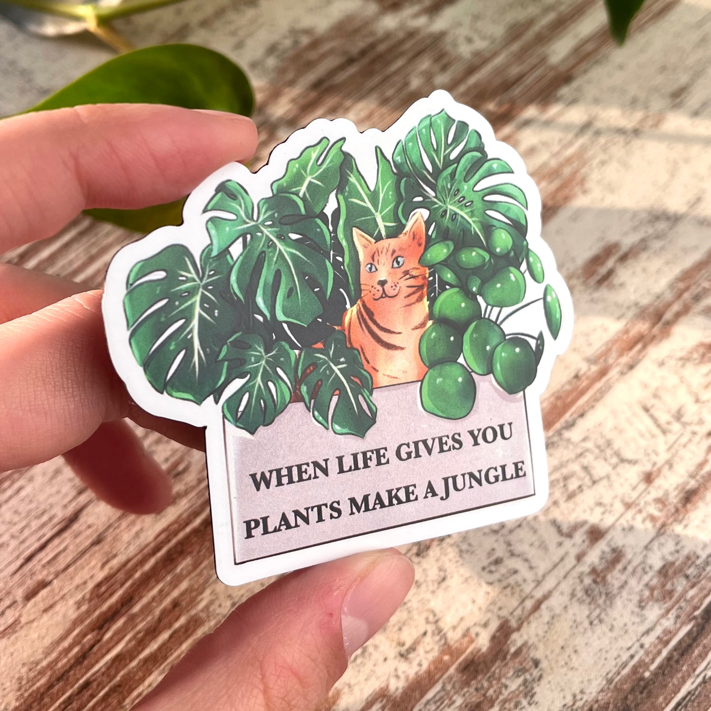 Magnet - Make a Jungle - wearequiethumans