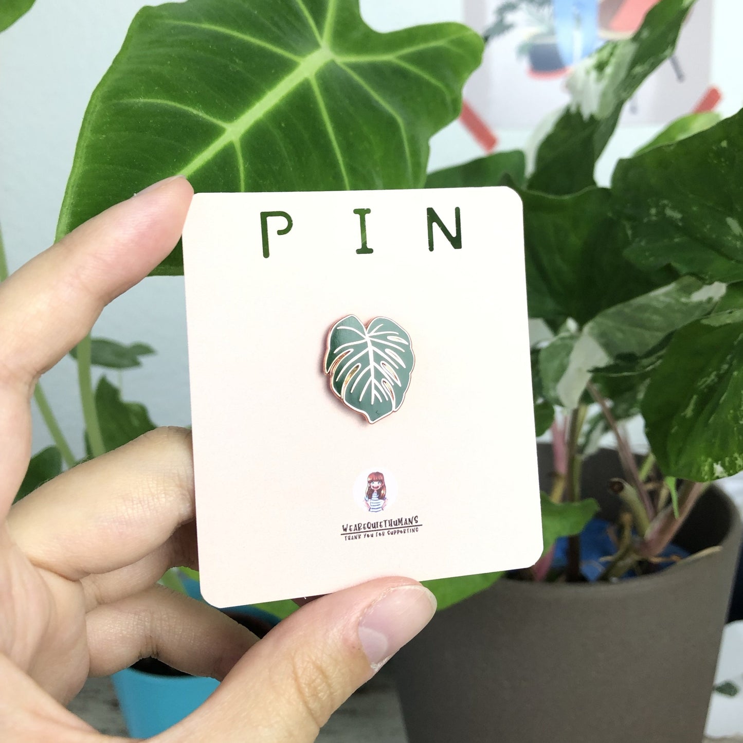 Pin - Monstera deliciosa - wearequiethumans