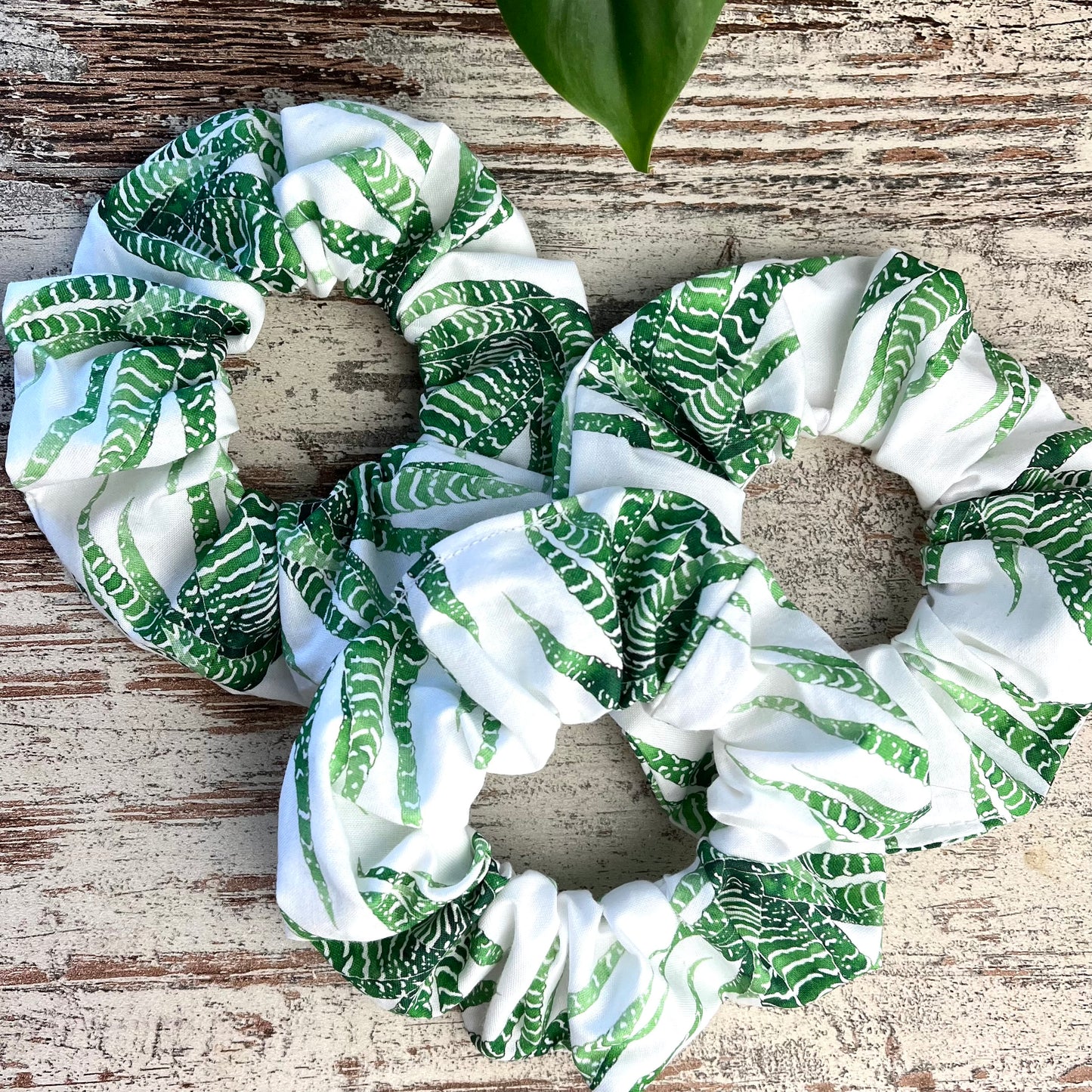 Scrunchie - Haworthia - wearequiethumans