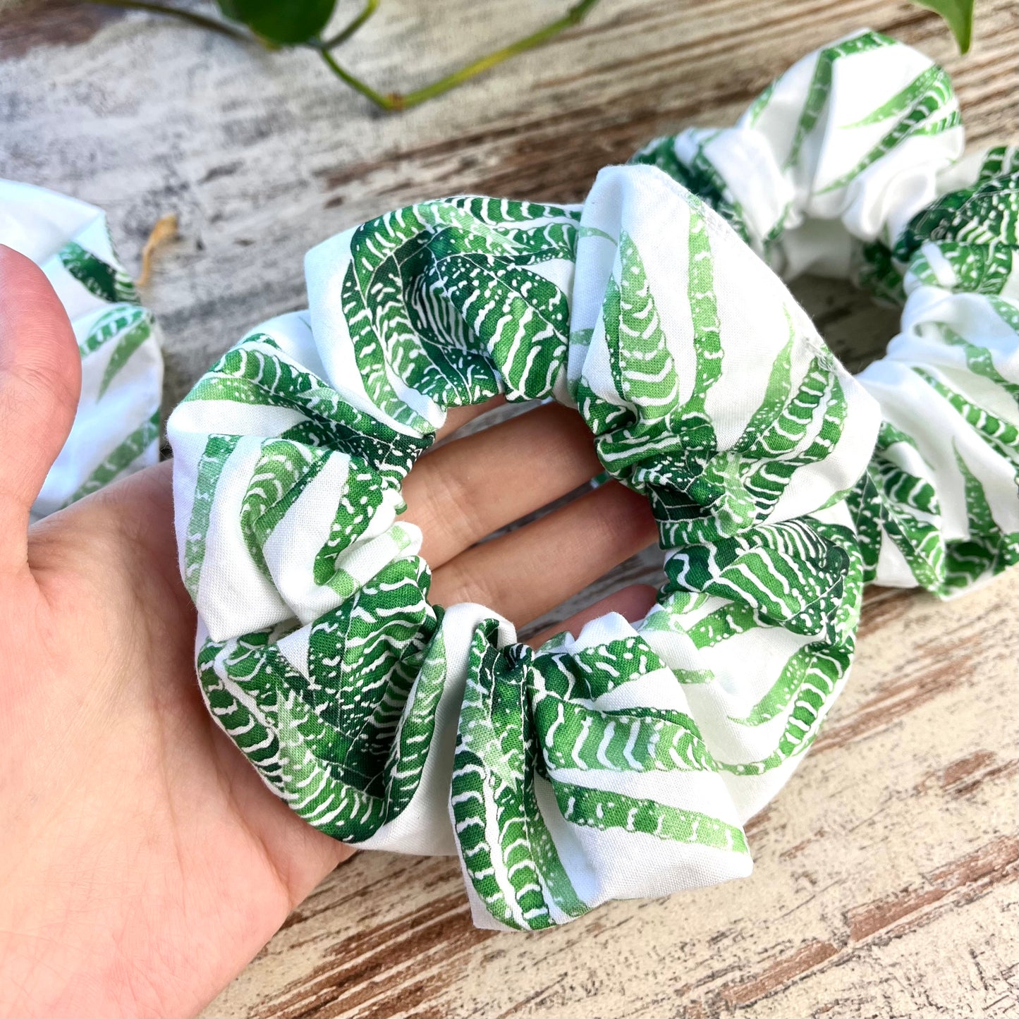 Scrunchie - Haworthia - wearequiethumans