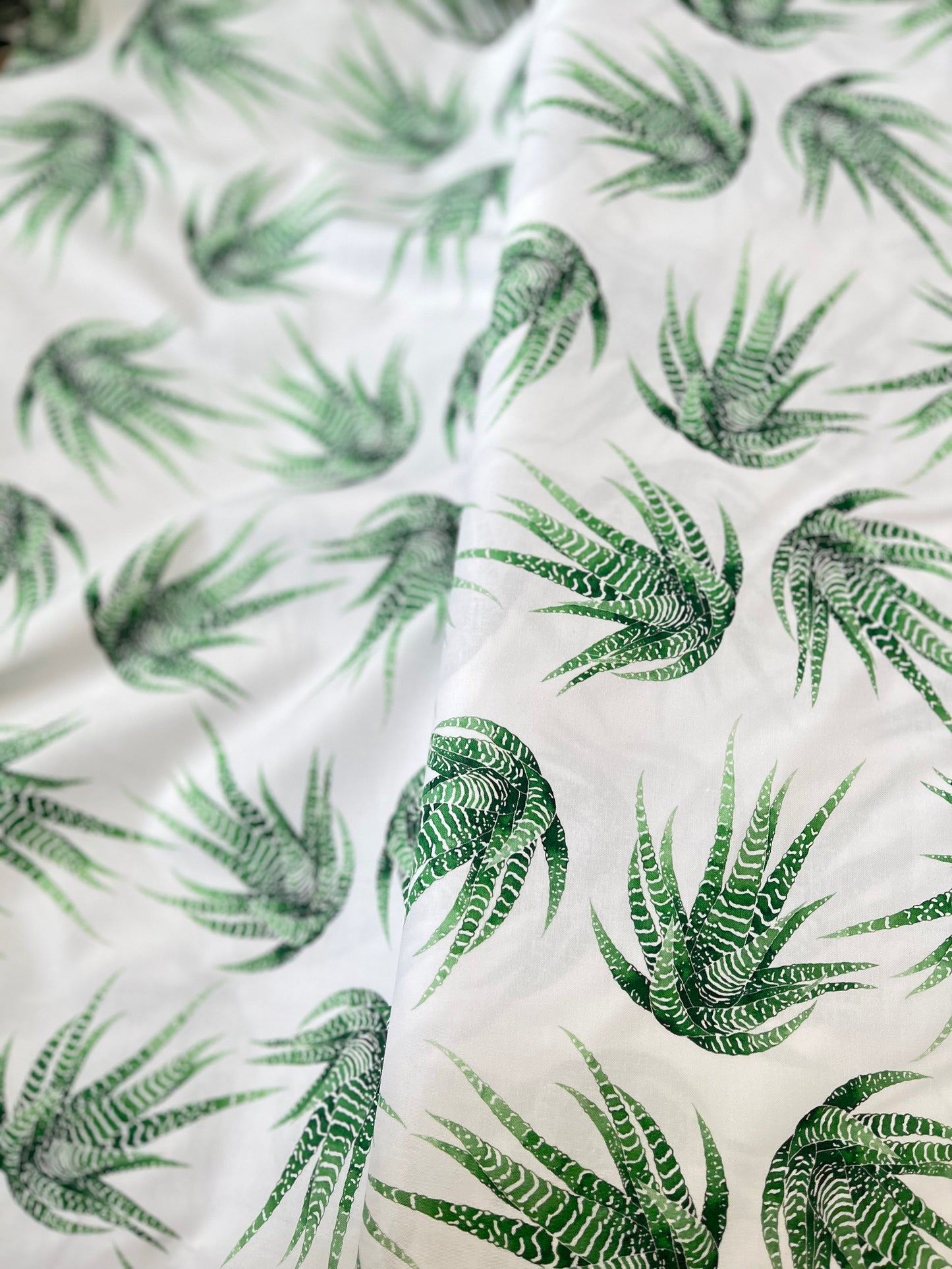 Scrunchie - Haworthia