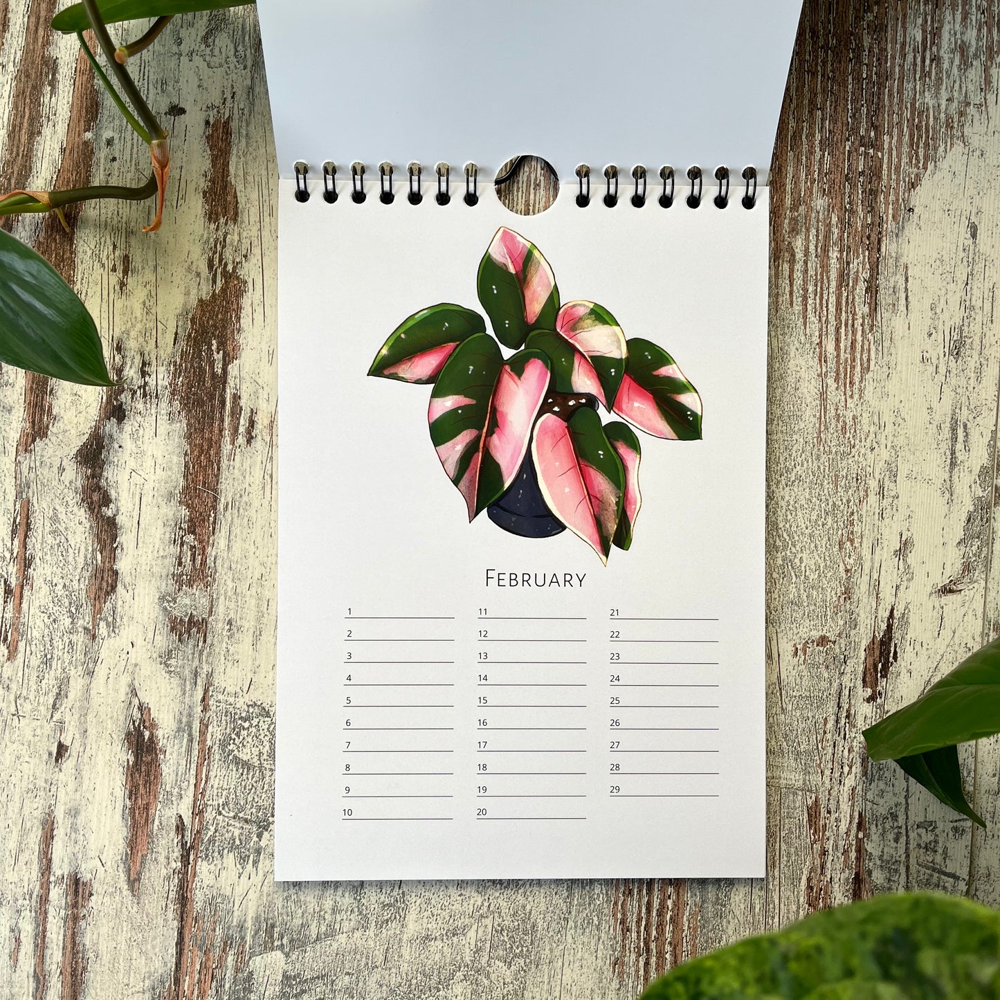 Immerwährender Kalender mit Grünpflanzen in A4 und A5 ohne Jahr
