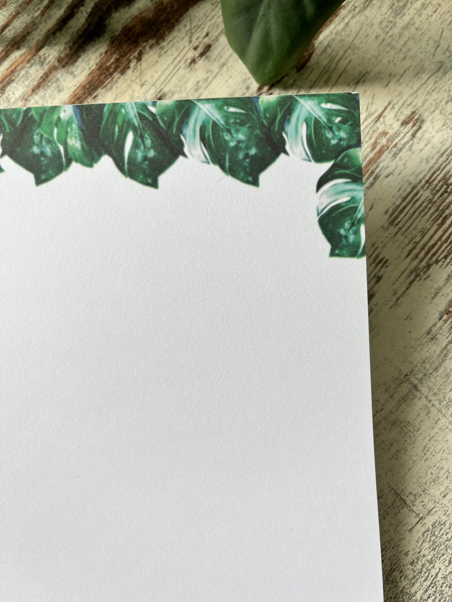 B-Ware: Notizblock A5 Monstera variegata blanko - wearequiethumans