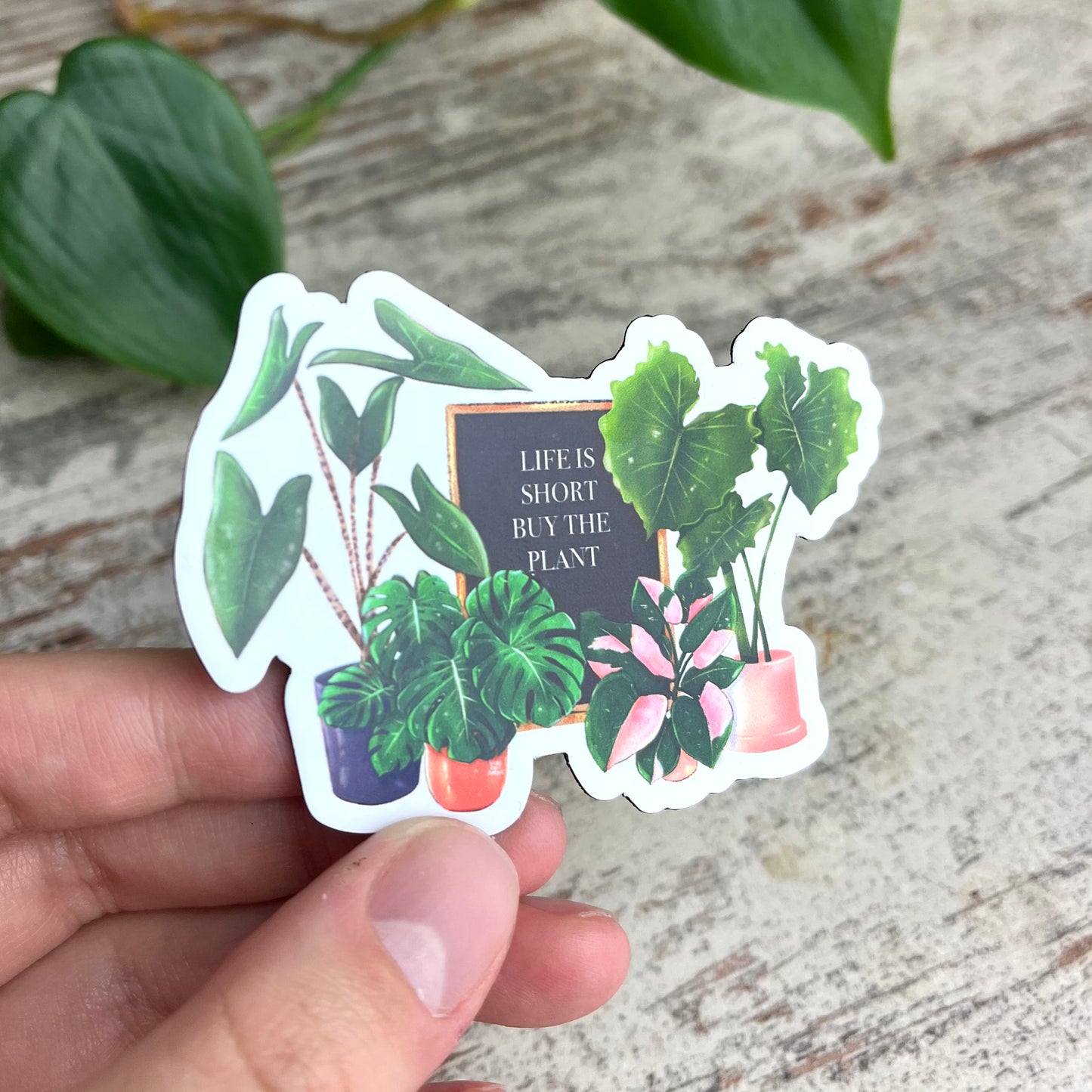Magnet - Life is short buy the plant - wearequiethumans