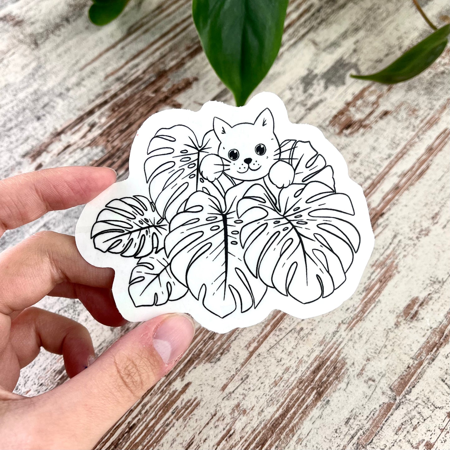 Sun Catcher Sticker - Monstera deliciosa mit Katze - wearequiethumans
