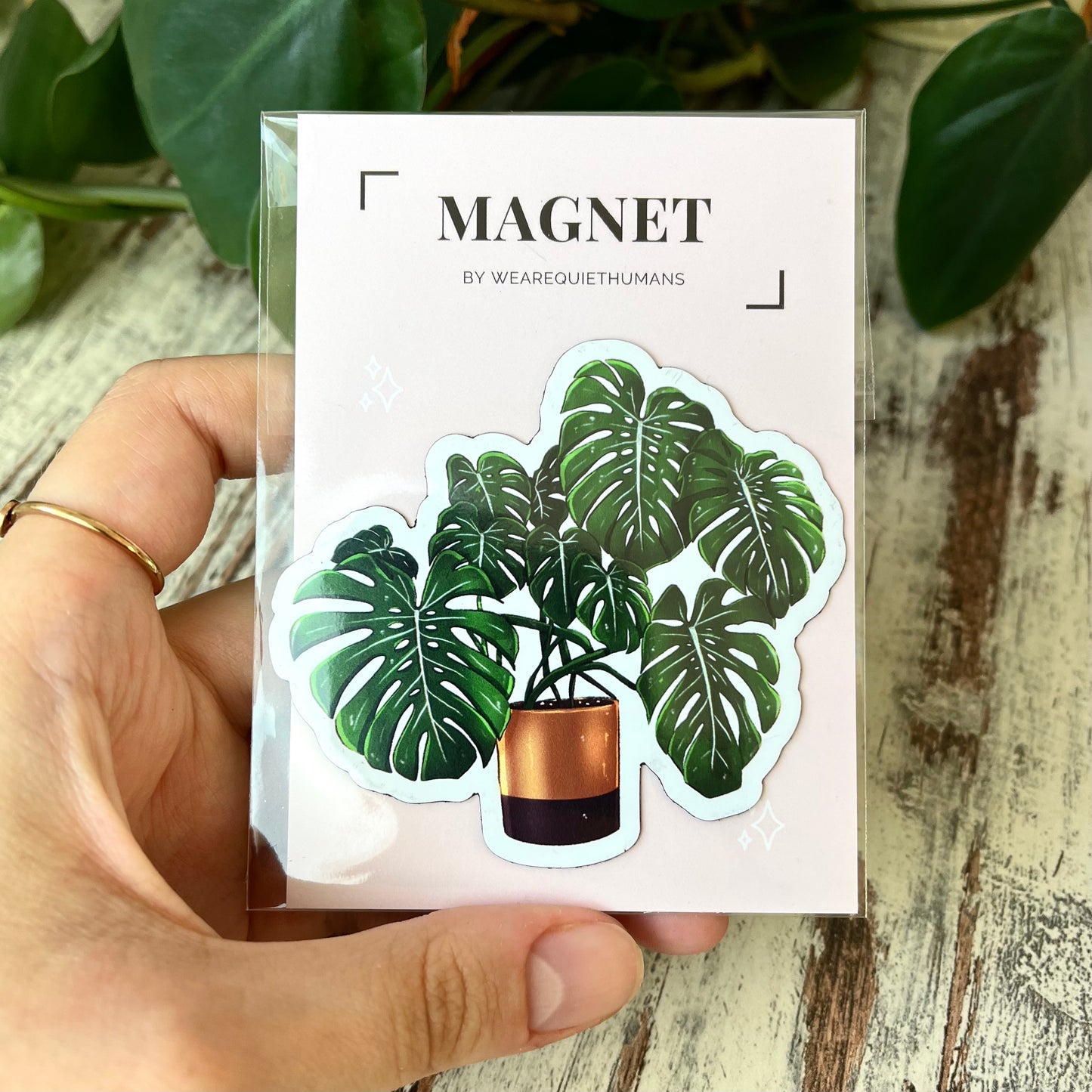 Kühlschrankmagnet - Monstera deliciosa - wearequiethumans