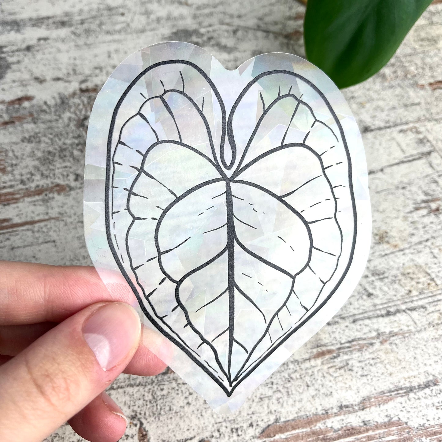 Sun Catcher Sticker - Anthurium Blatt - wearequiethumans