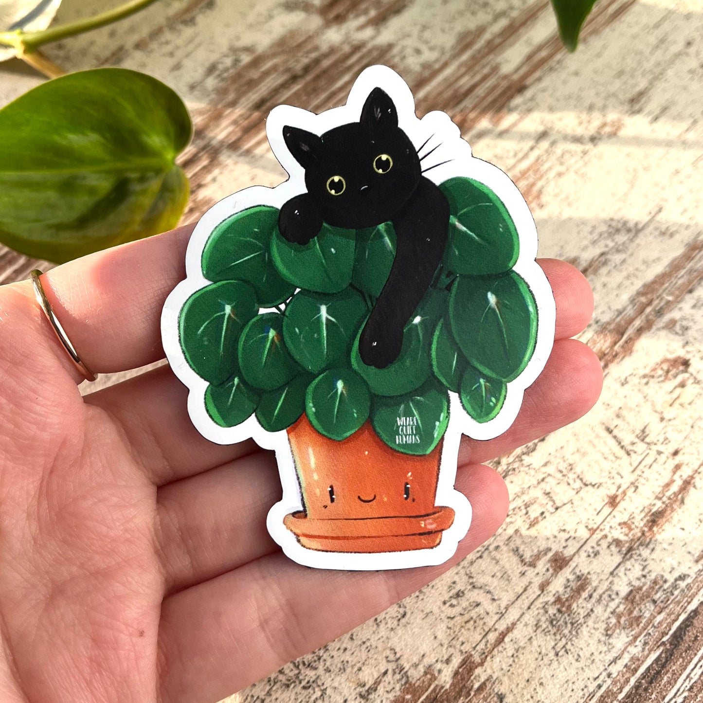 Magnet Pilea mit Katze - wearequiethumans