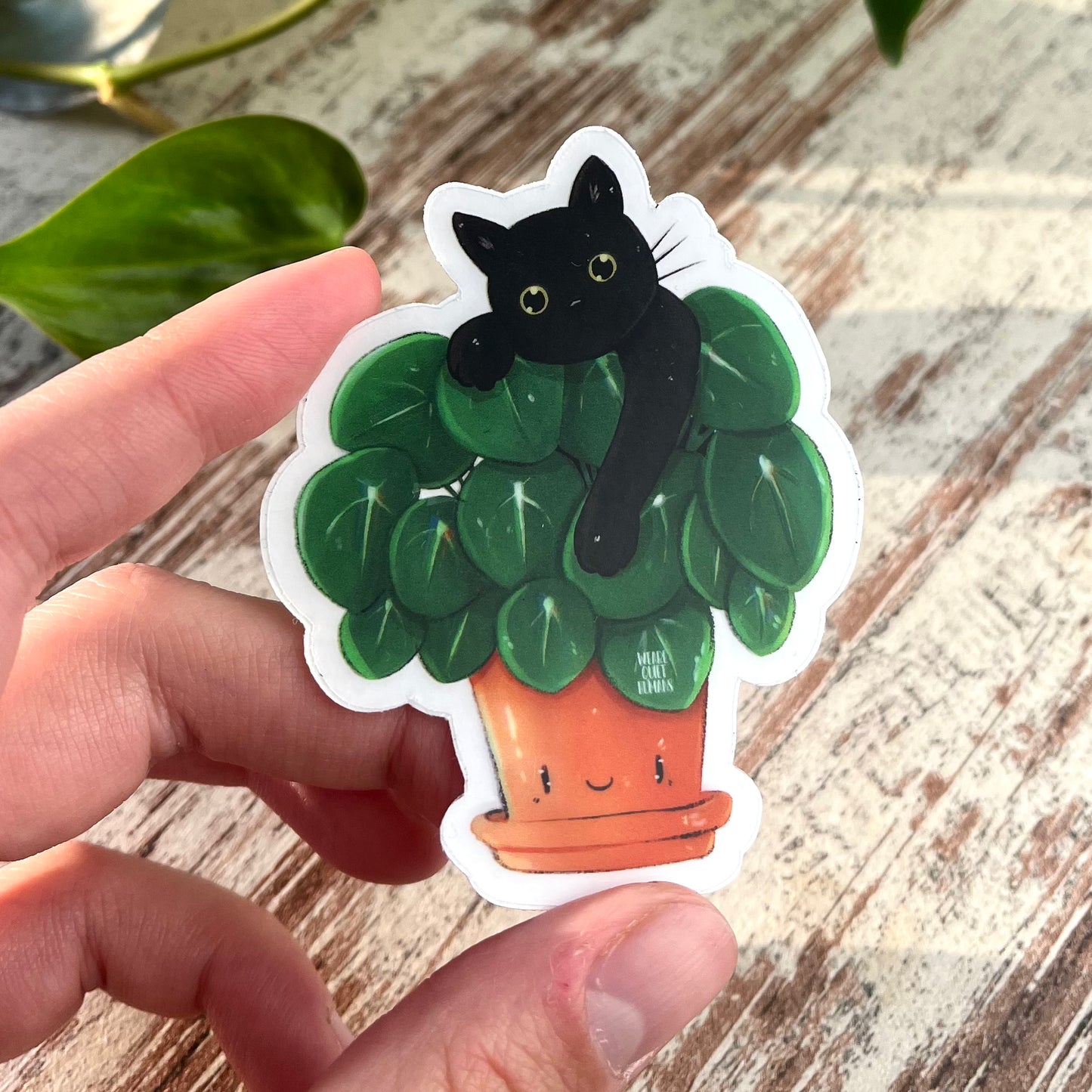 Sticker - Pilea mit Katze - wearequiethumans
