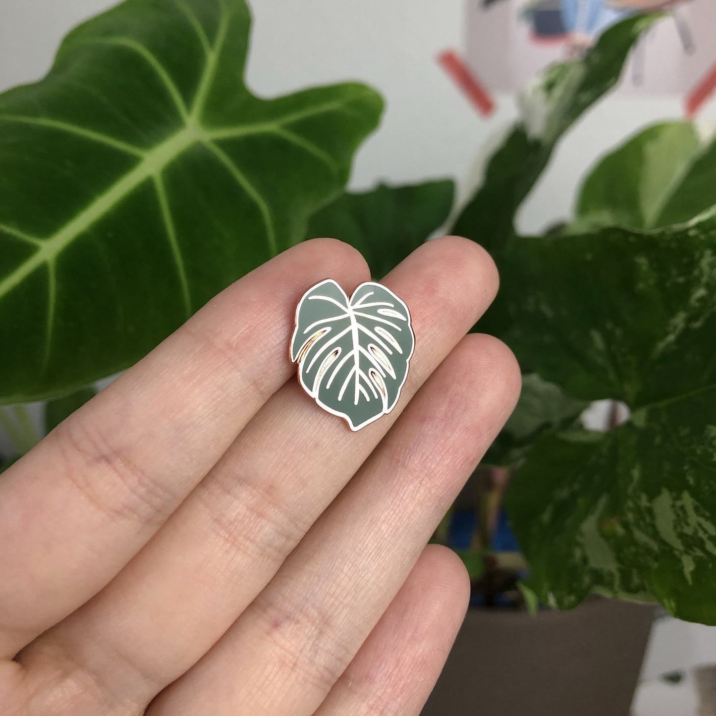 Pin - Monstera deliciosa - wearequiethumans