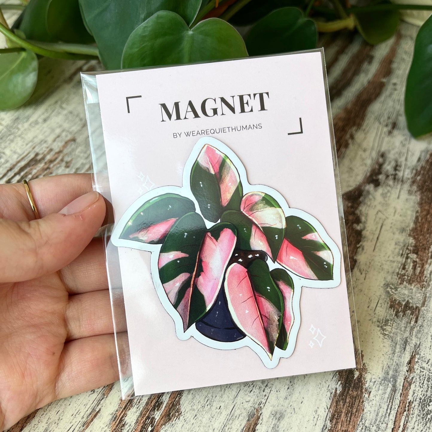 Magnet - Philodendron Prink Princess - wearequiethumans