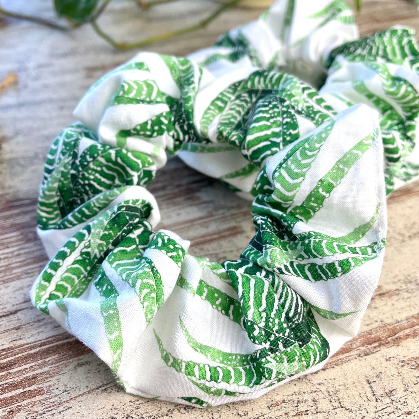 Scrunchie - Haworthia - wearequiethumans