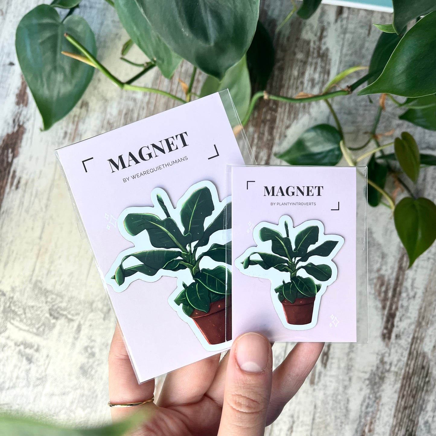 Kühlschrankmagnet - Bananenpflanze