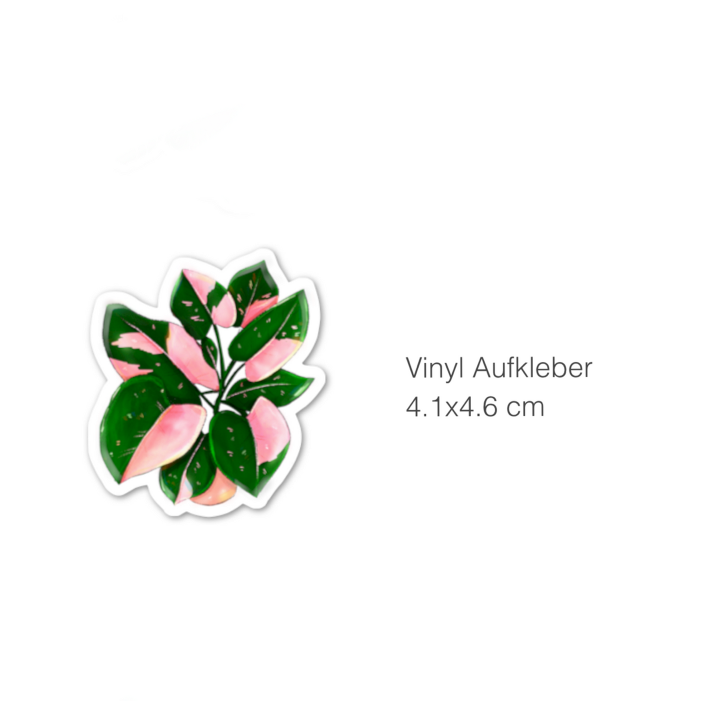 Sticker - Philodendron Pink Princess