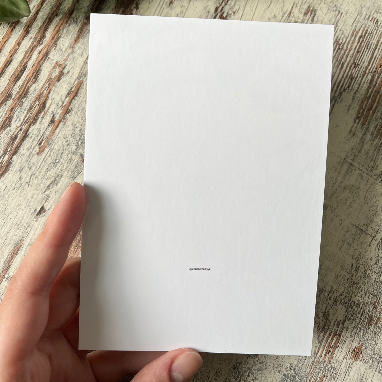 B-Ware: Postkarte / A6 Print - Plantlady Monstera schwarz - wearequiethumans