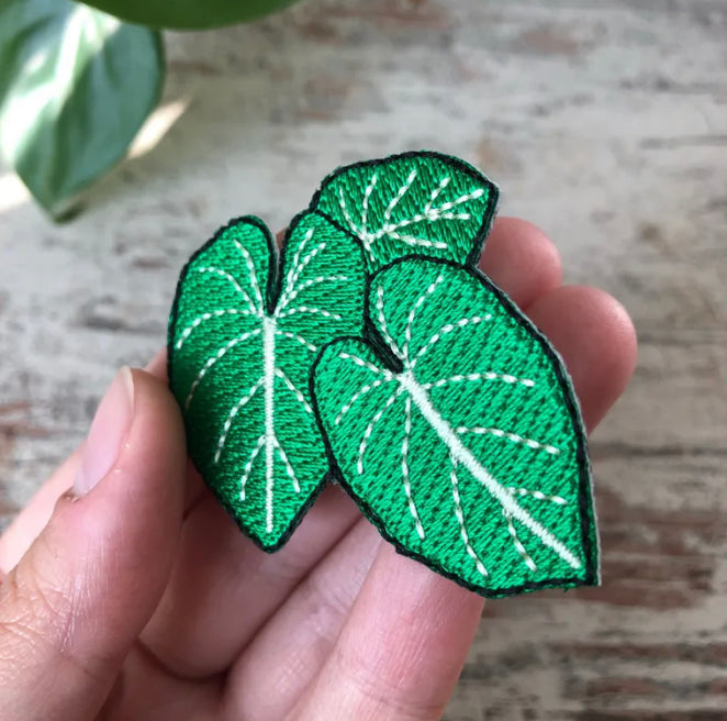 Patch Philodendron Gloriosum - 3 Blätter - wearequiethumans