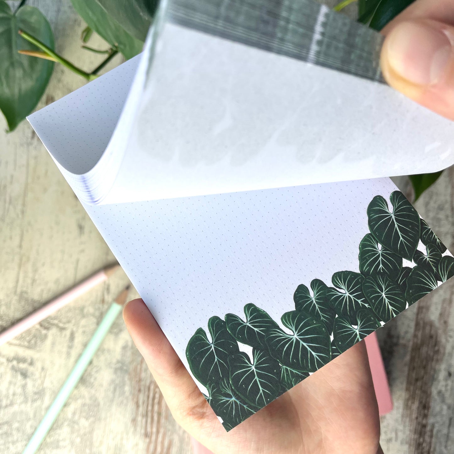 Notizblock A6 - mini dotted - Philodendron Gloriosum