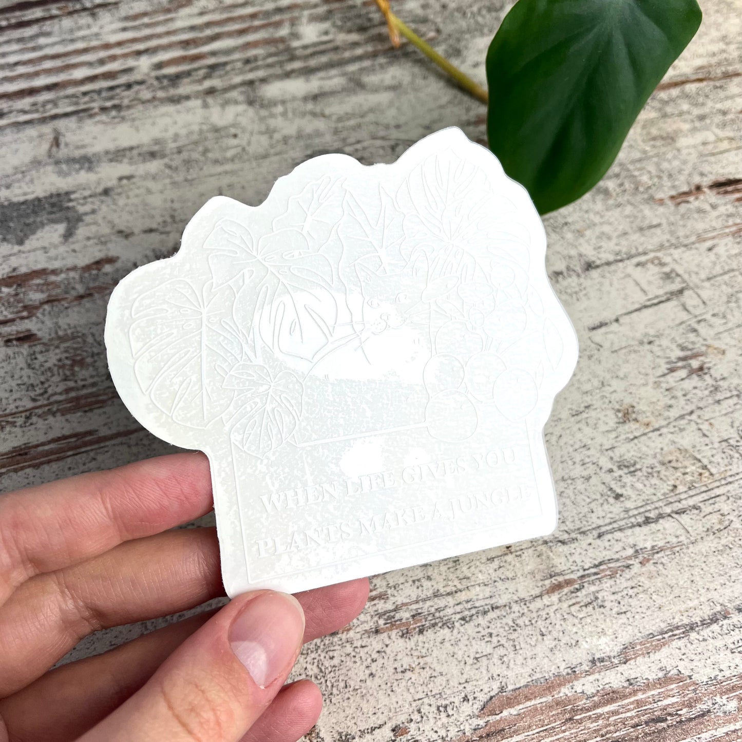 Sun Catcher Sticker - When Life gives you plants - wearequiethumans