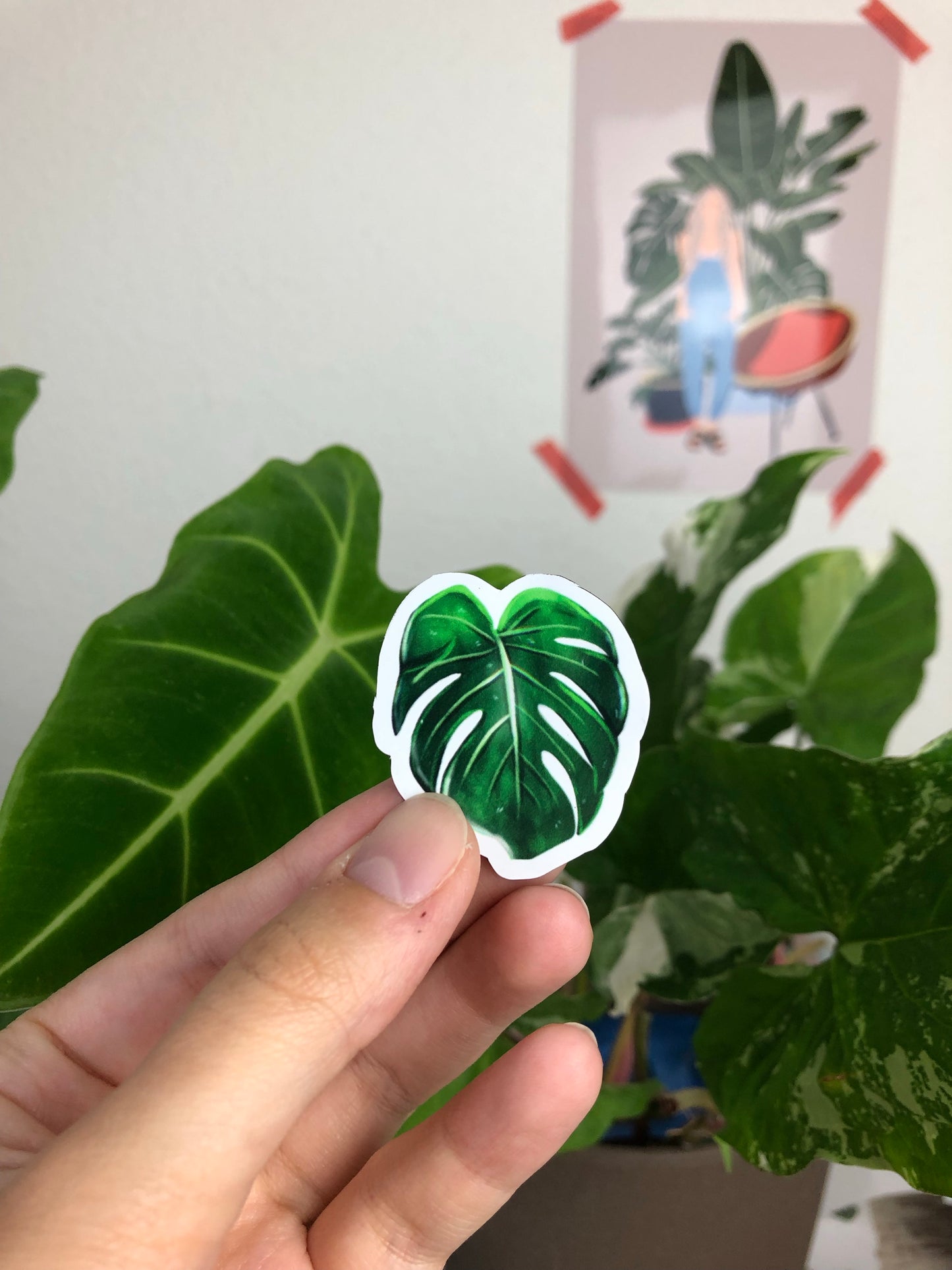 Magnet Set - Monstera, Syngonium, Alocasia & Anthurium - wearequiethumans