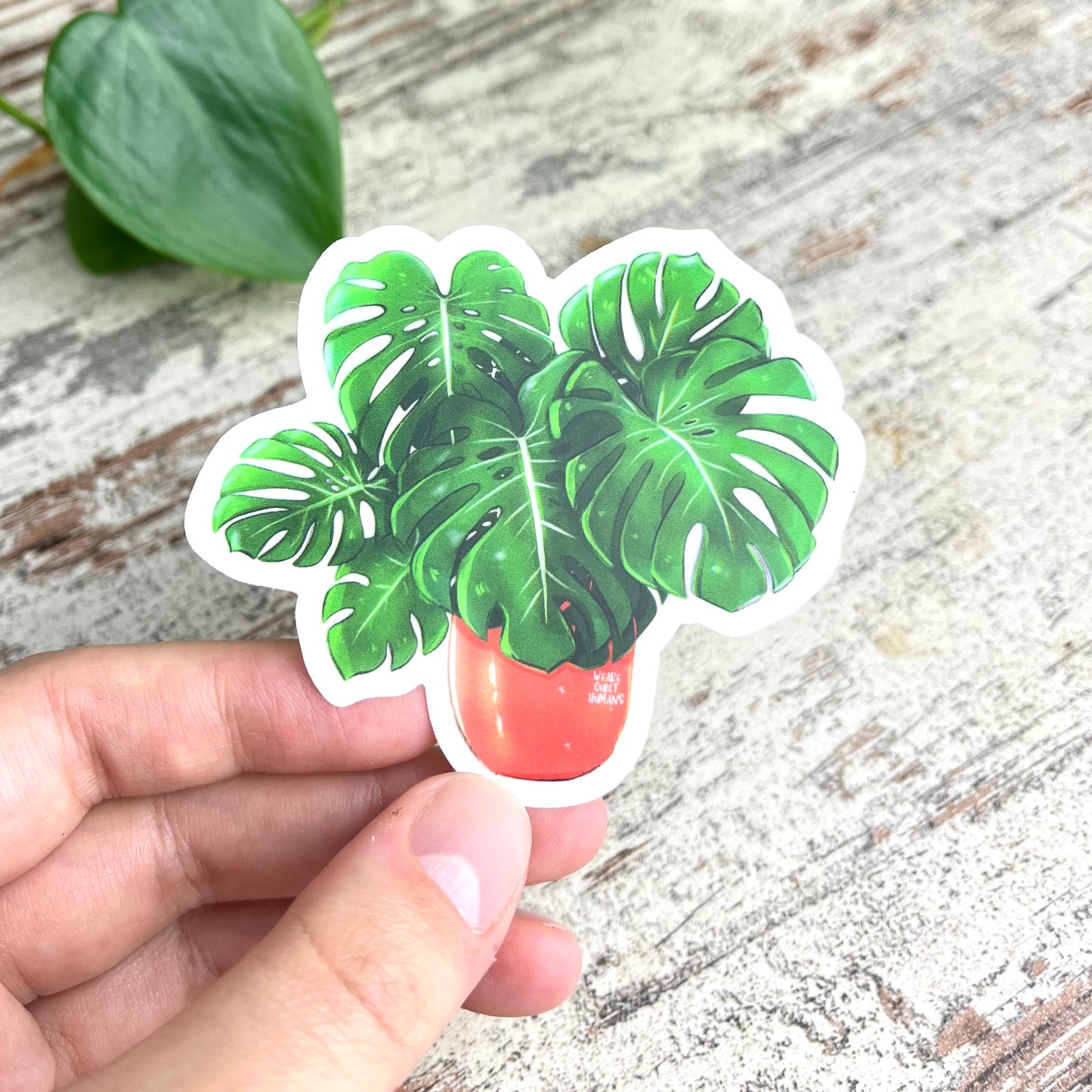 Sticker - Monstera deliciosa 6 Blätter - wearequiethumans