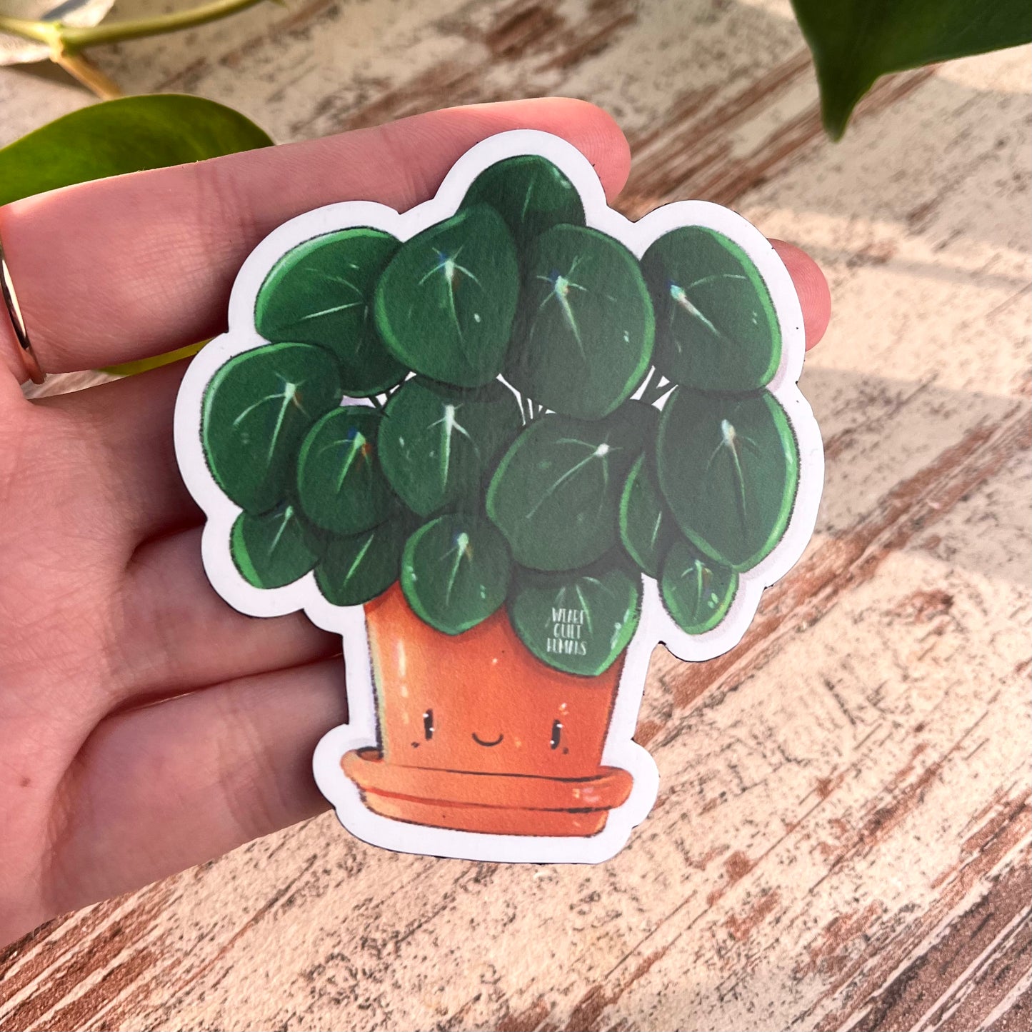 Magnet Pilea mit Gesicht - wearequiethumans