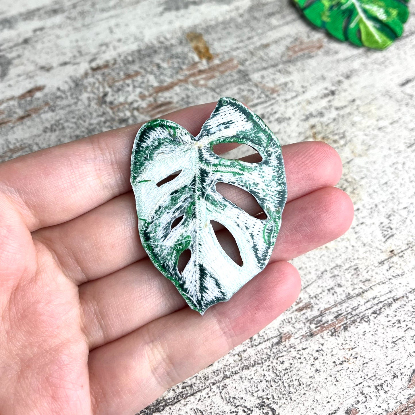 Patch Monstera adansonii variegata - zum Aufnähen oder Aufbügeln - wearequiethumans