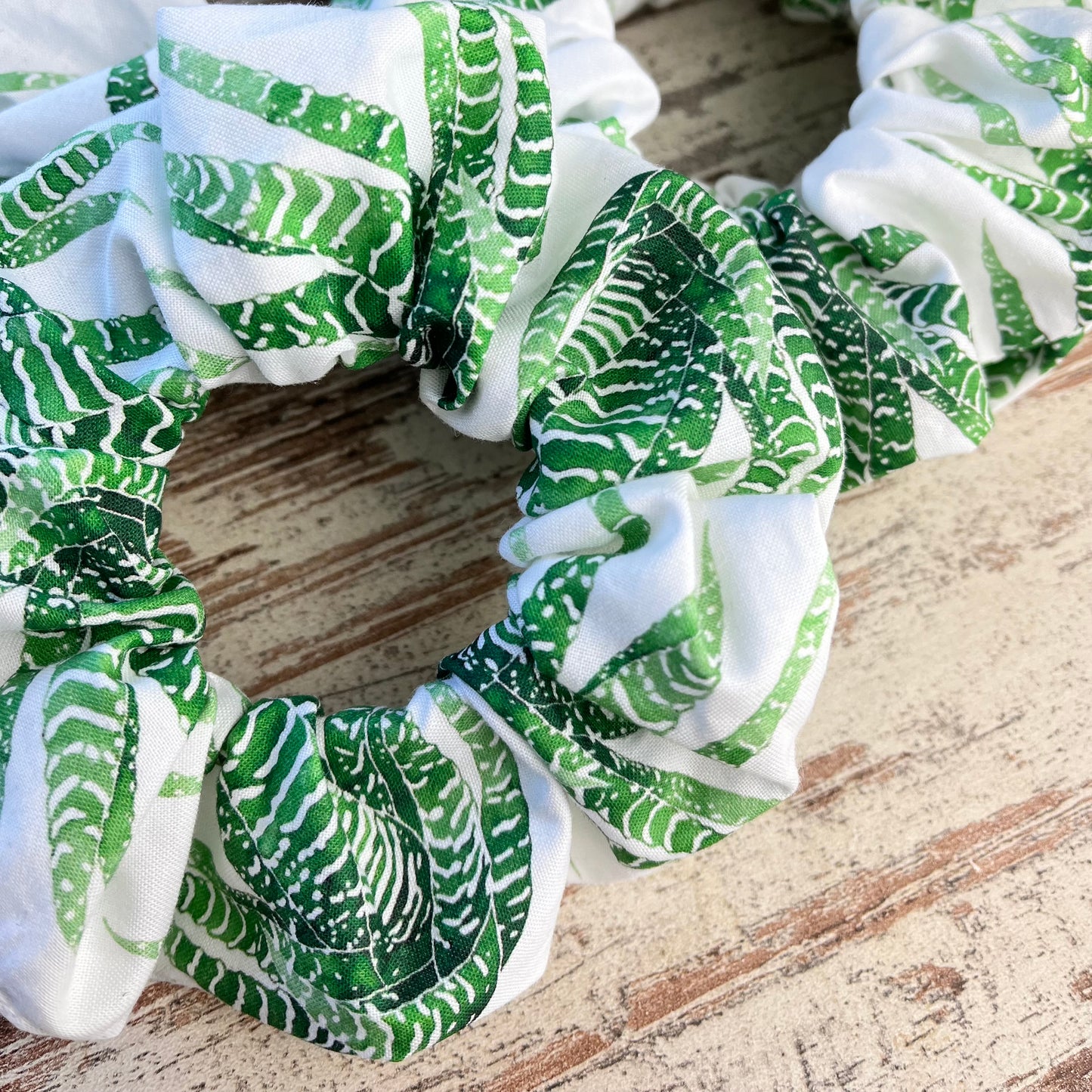 Scrunchie - Haworthia - wearequiethumans