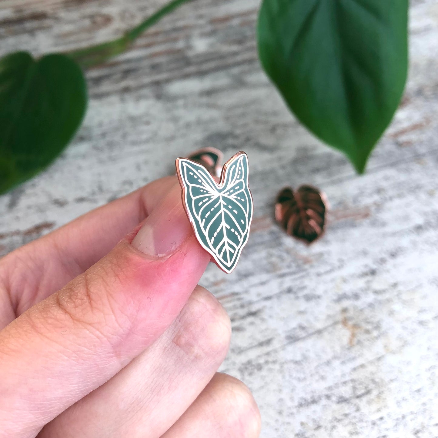 Pin - Syngonium Blatt - wearequiethumans
