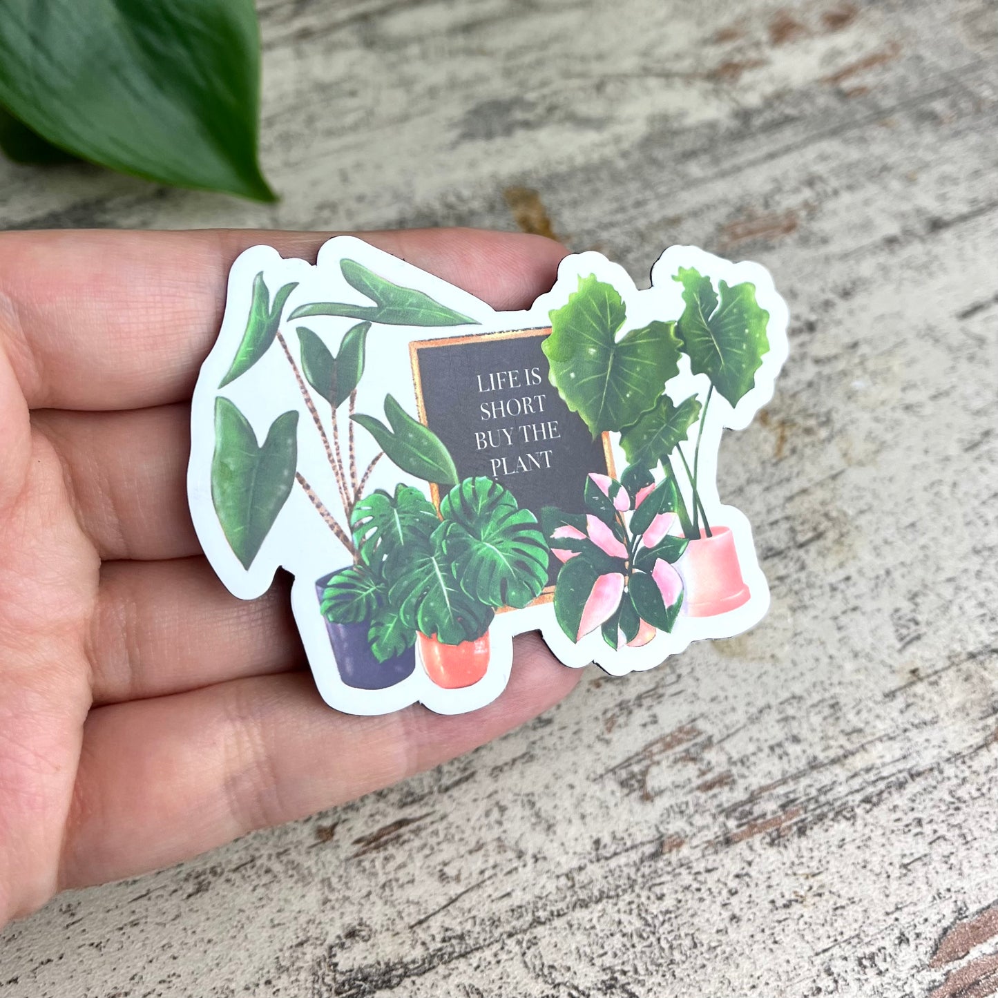 Magnet - Life is short buy the plant - wearequiethumans