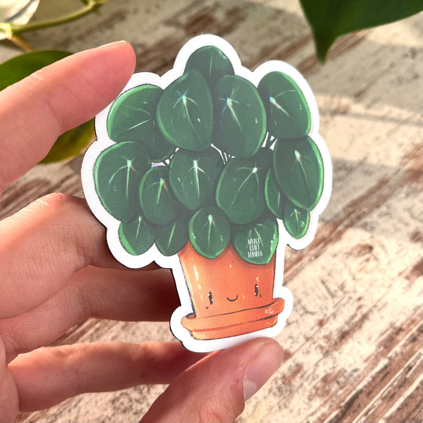 Magnet Pilea mit Gesicht - wearequiethumans