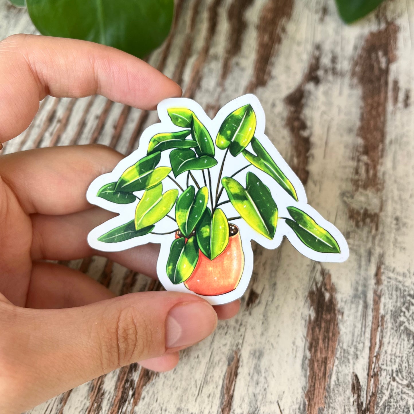 Kühlschrankmagnet - Philodendron burle marx - wearequiethumans