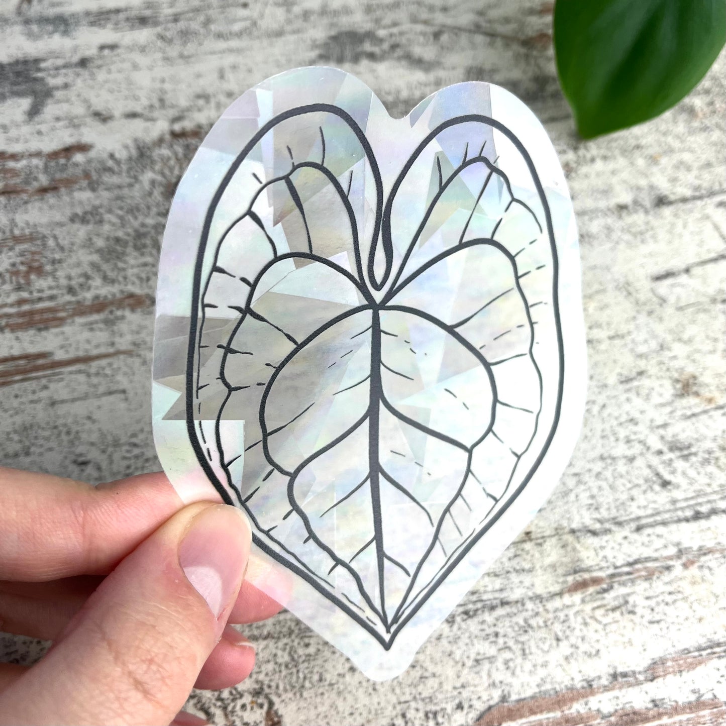 Sun Catcher Sticker - Anthurium Blatt - wearequiethumans