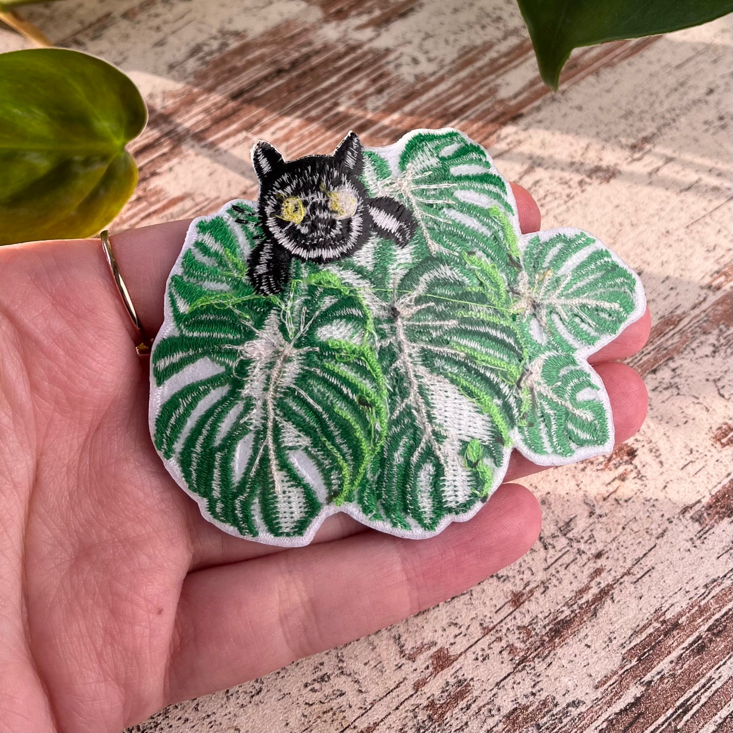 Patch - Monstera mit Katze - wearequiethumans