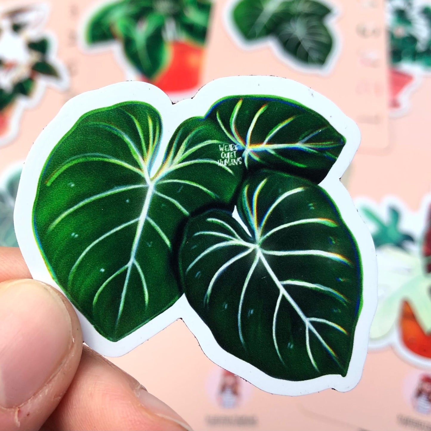 Magnet - Philodendron Gloriosum 3 Blätter - wearequiethumans