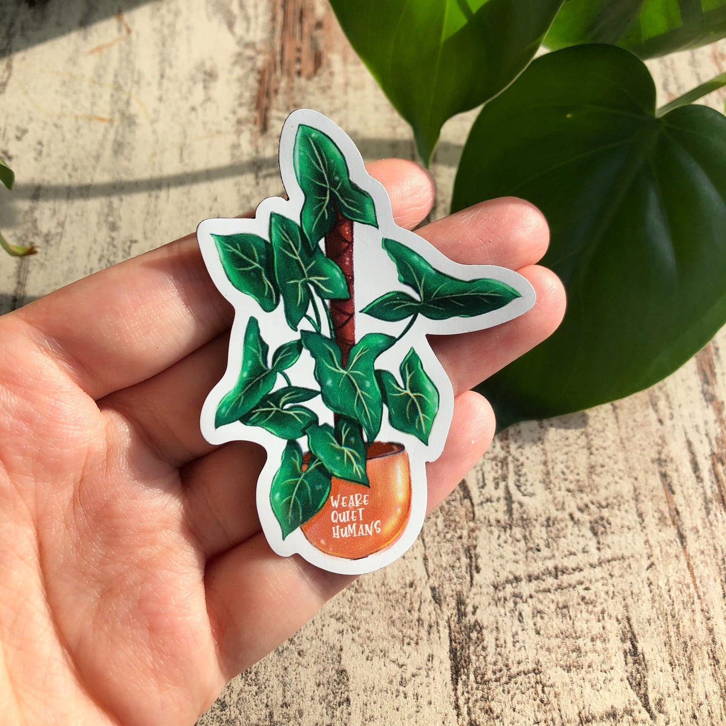 Magnet - Syngonium variegata - wearequiethumans