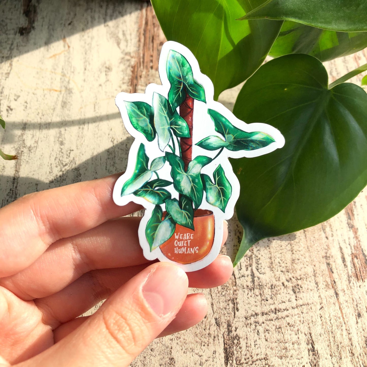 Magnet - Syngonium variegata - wearequiethumans