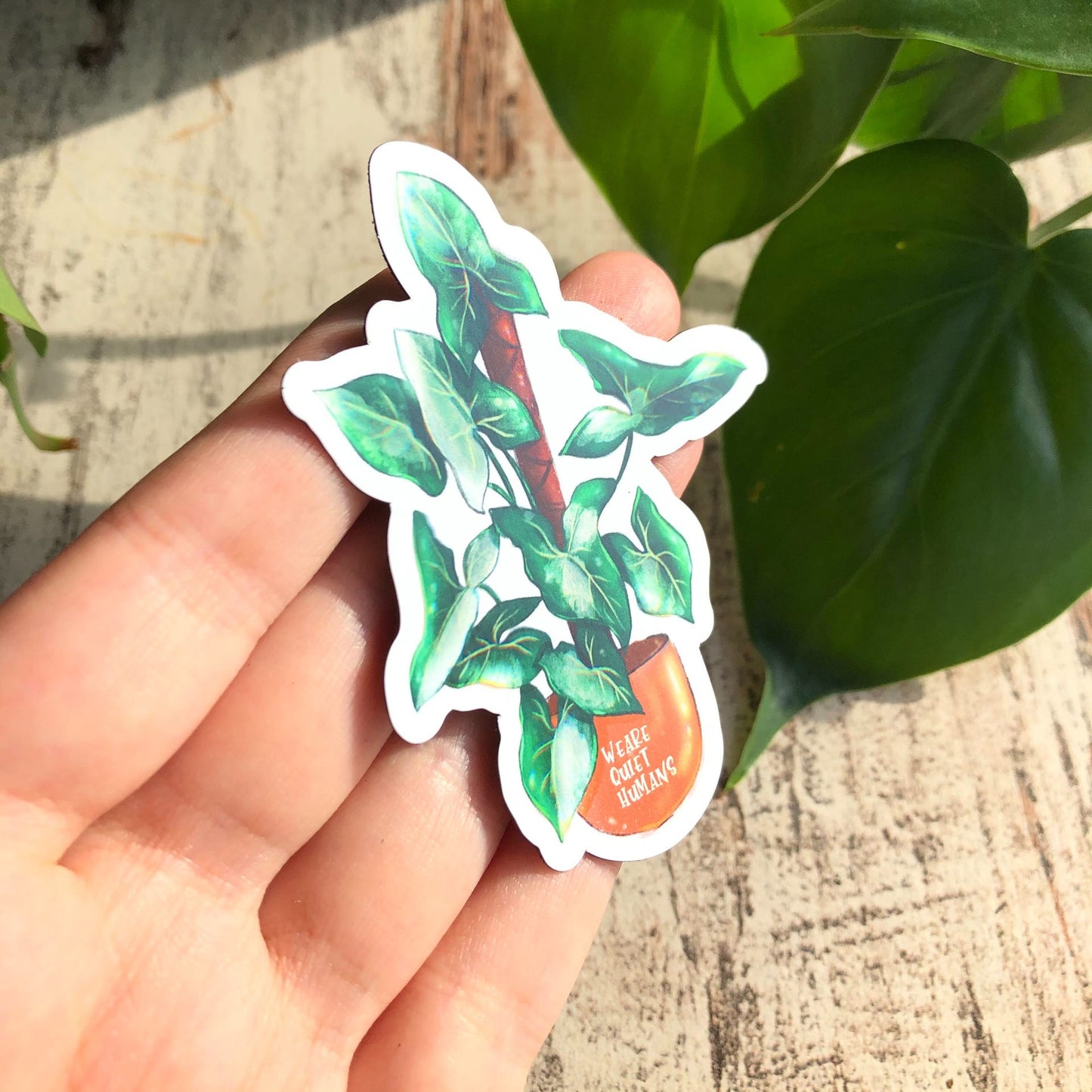 Magnet - Syngonium variegata - wearequiethumans