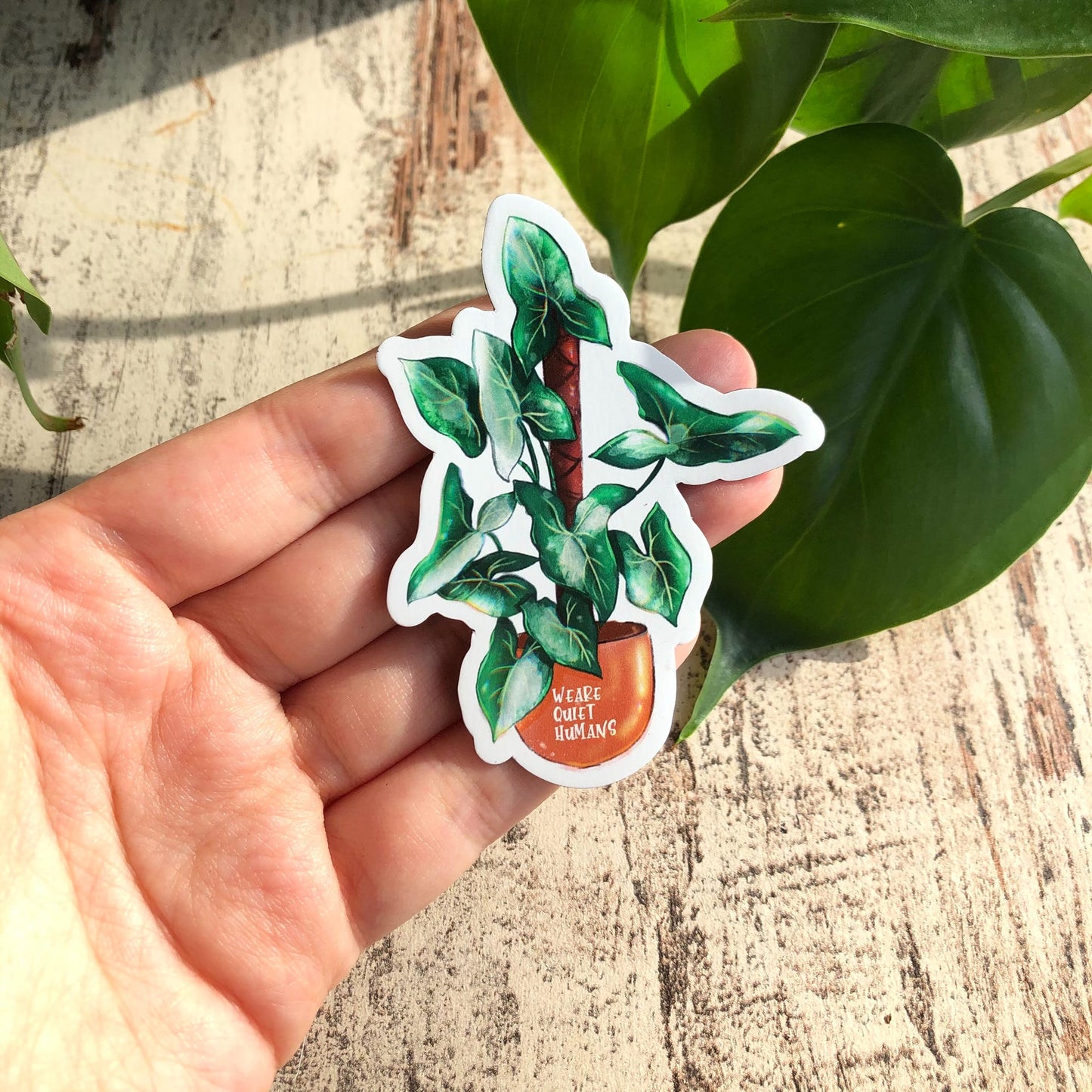 Magnet - Syngonium variegata - wearequiethumans