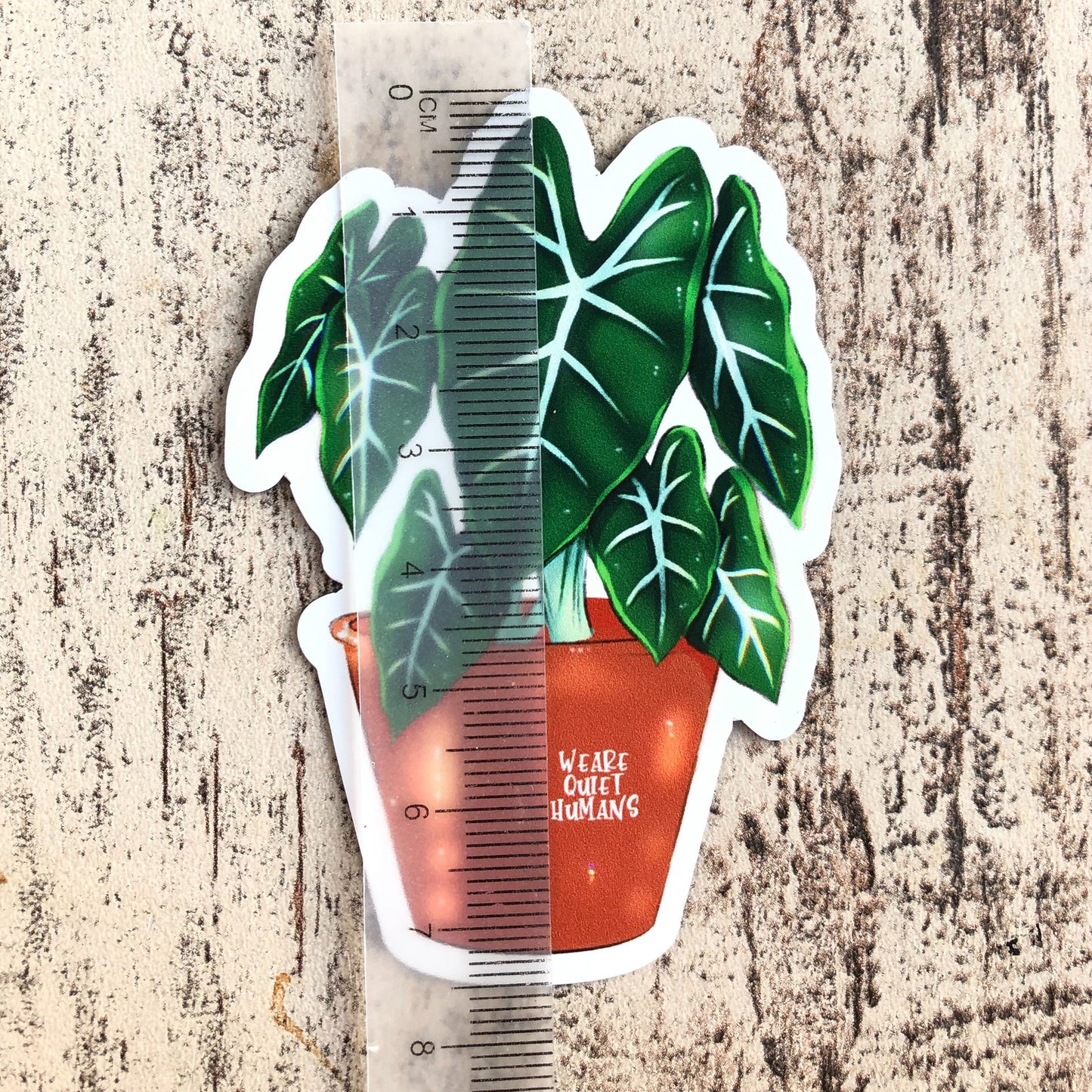 Magnet - Alocasia Frydek im Topf - wearequiethumans