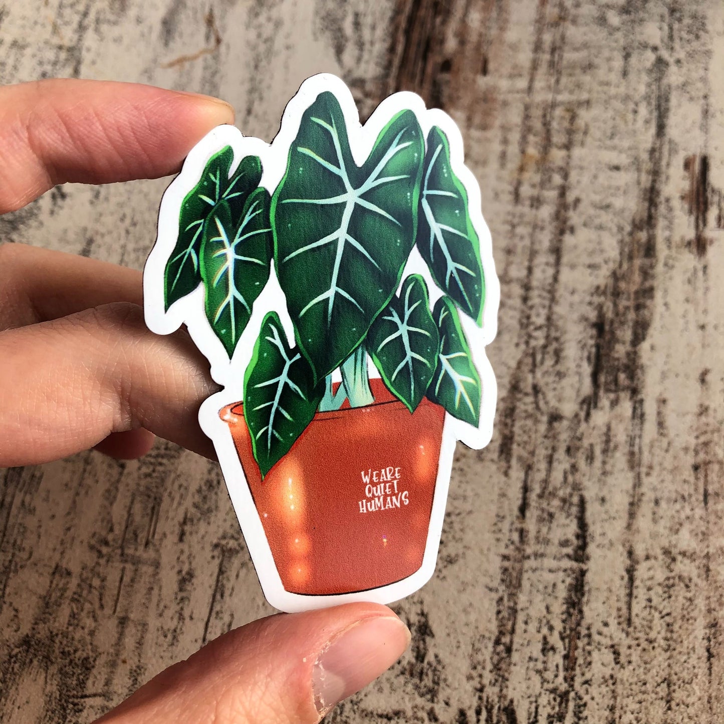 Magnet - Alocasia Frydek im Topf - wearequiethumans