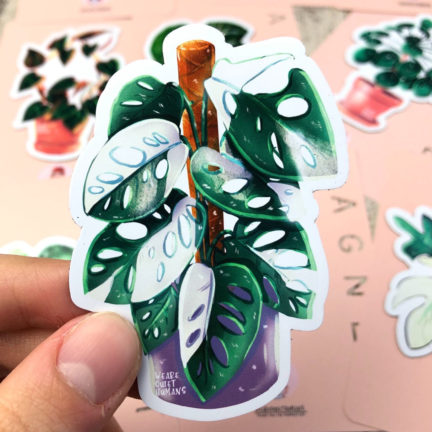 Magnet - Monstera adansonii variegata - wearequiethumans