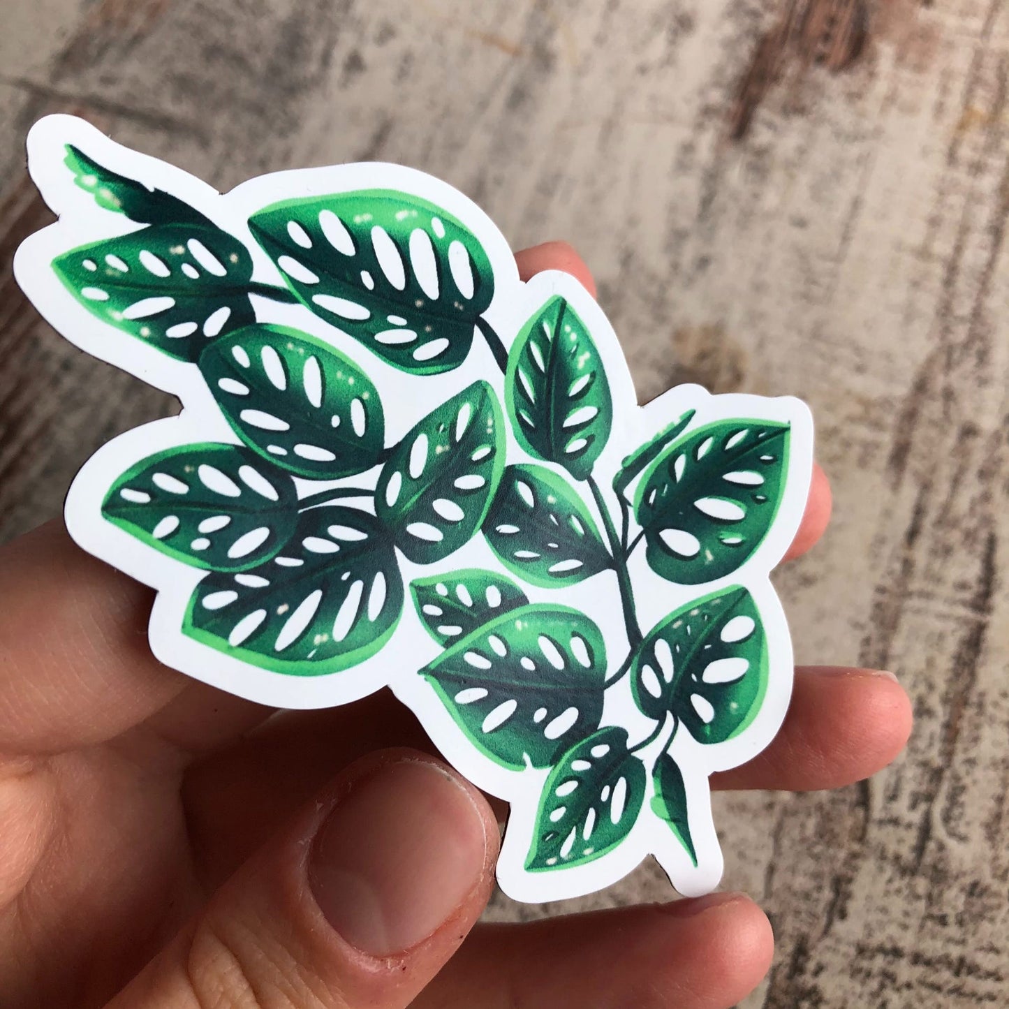 Magnet - Monstera monkey mask - wearequiethumans